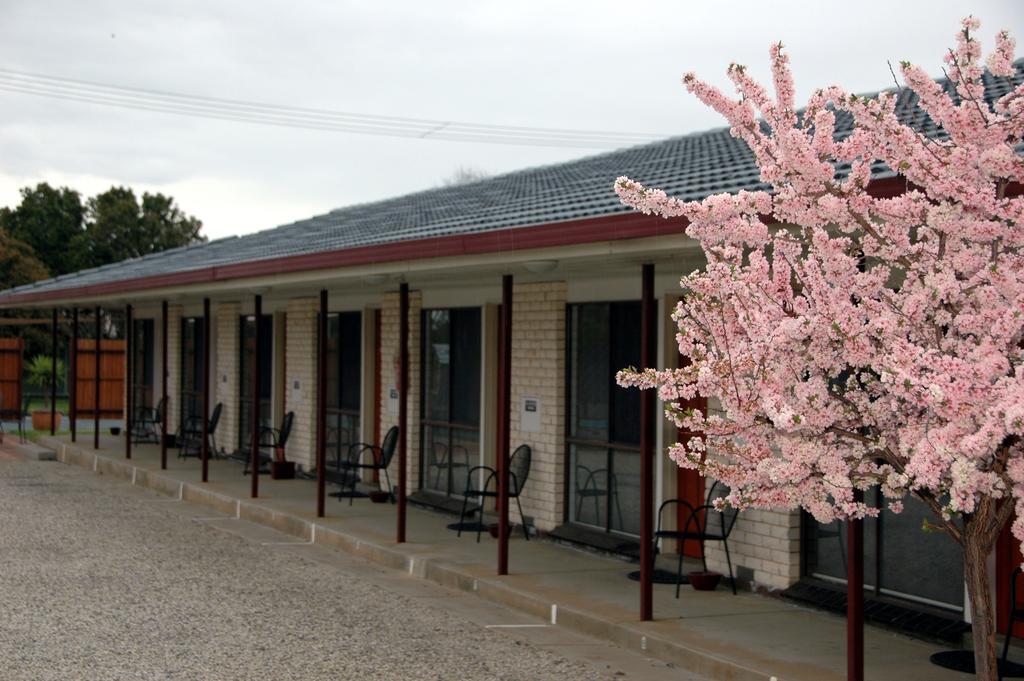 Motel Woongarra Rutherglen Exteriör bild