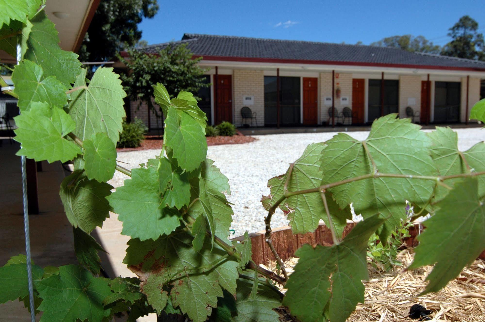 Motel Woongarra Rutherglen Exteriör bild